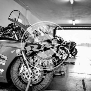 MOT_5491