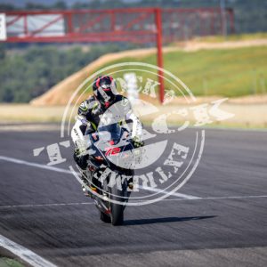 MOT_2338