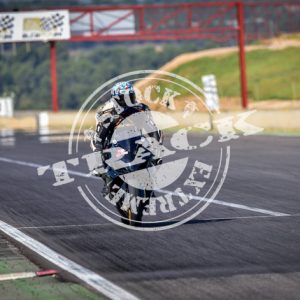MOT_2339