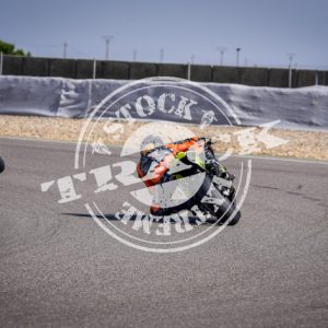 MOT_2463