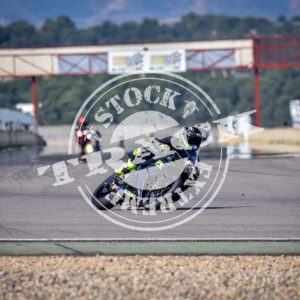 MOT_2531