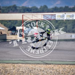 MOT_2554