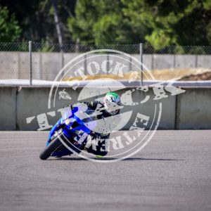 MOT_2599