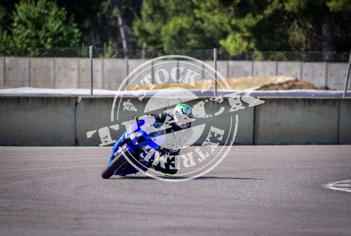 MOT_2599