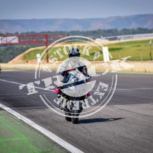 MOT_2631