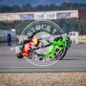 MOT_2763