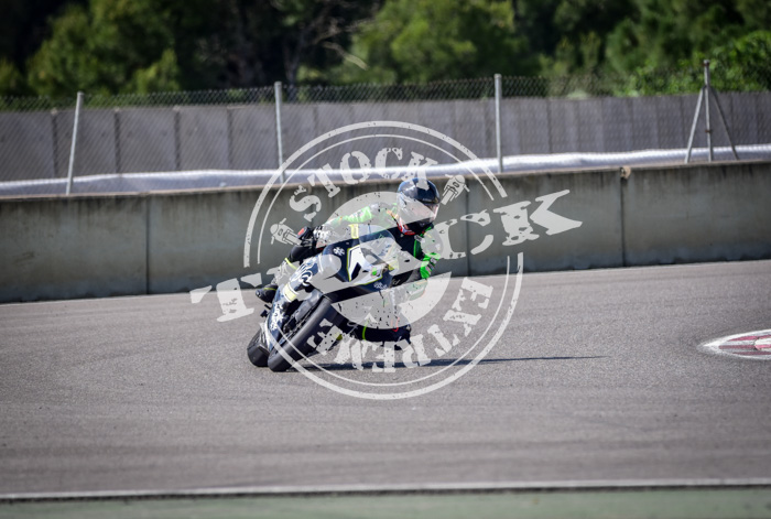 MOT_2798