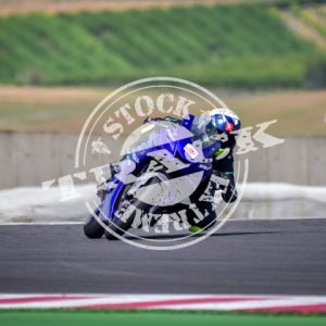 MOT_2952