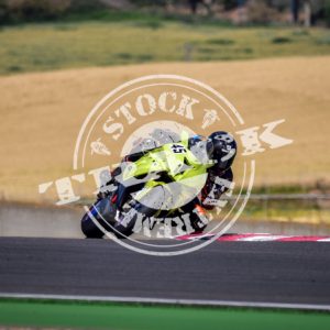 MOT_3100