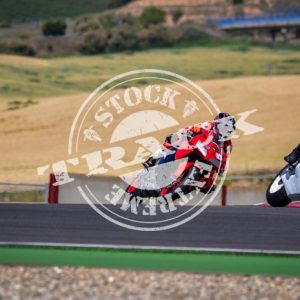 MOT_3103