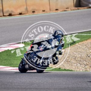 MOT_3391