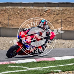 MOT_4299