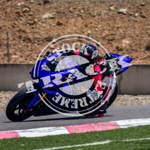 MOT_4303