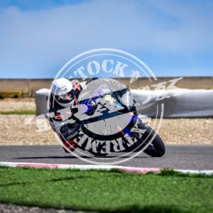 MOT_5097