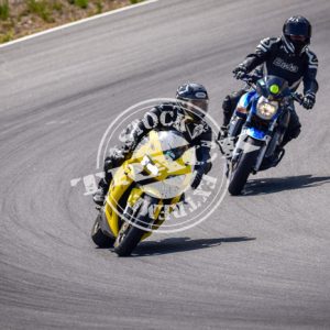 MOT_2781