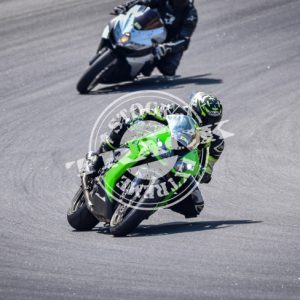 MOT_2909
