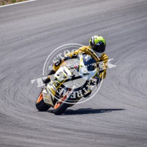 MOT_2916
