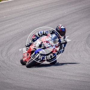 MOT_2923