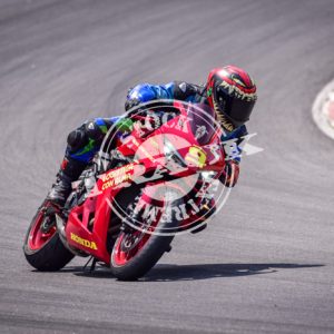 MOT_2933