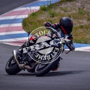 MOT_2951