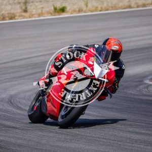 MOT_3174