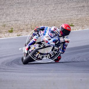 MOT_3461