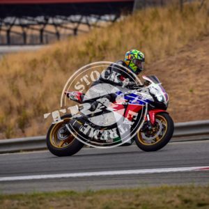 MOT_7329
