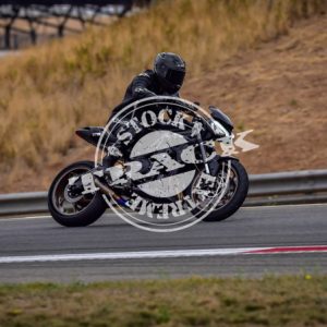 MOT_7338