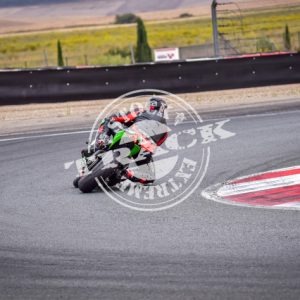 MOT_8037