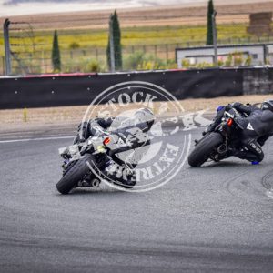 MOT_8335
