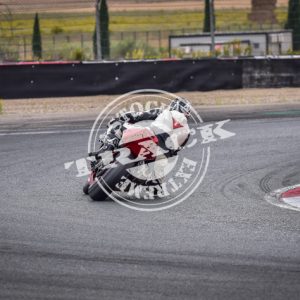 MOT_8352