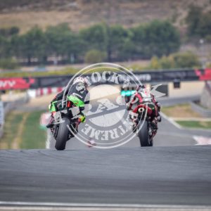 MOT_8422
