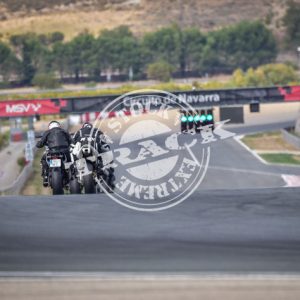 MOT_8446
