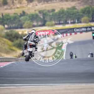 MOT_8448