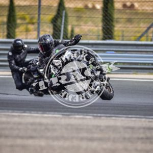 MOT_8480