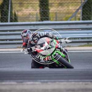 MOT_8569