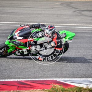 MOT_8779