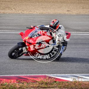 MOT_8941