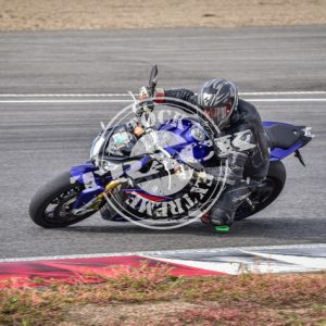 MOT_8986