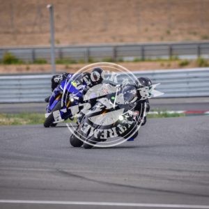 MOT_9031